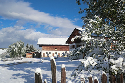 Fotoalbum vom Gastreinhof