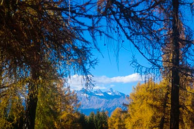 Autumn on the Tschöggelberg