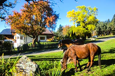 Autumn on the Tschöggelberg