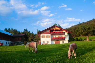 Fotoalbum vom Gastreinhof