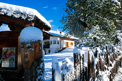 Winter on Gastreinhof