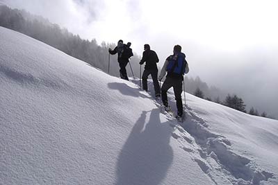 Winter on Gastreinhof