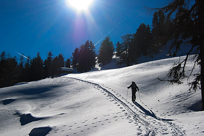 Winter on Gastreinhof