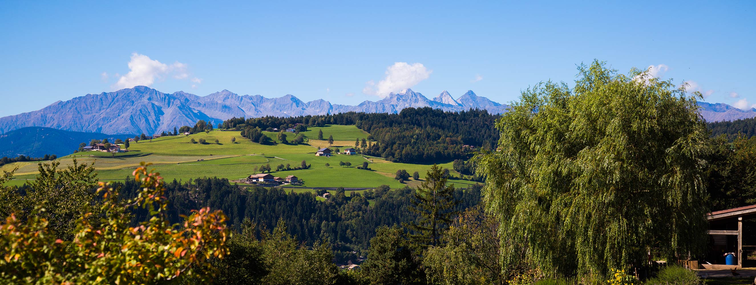 Autumn on the Tschöggelberg