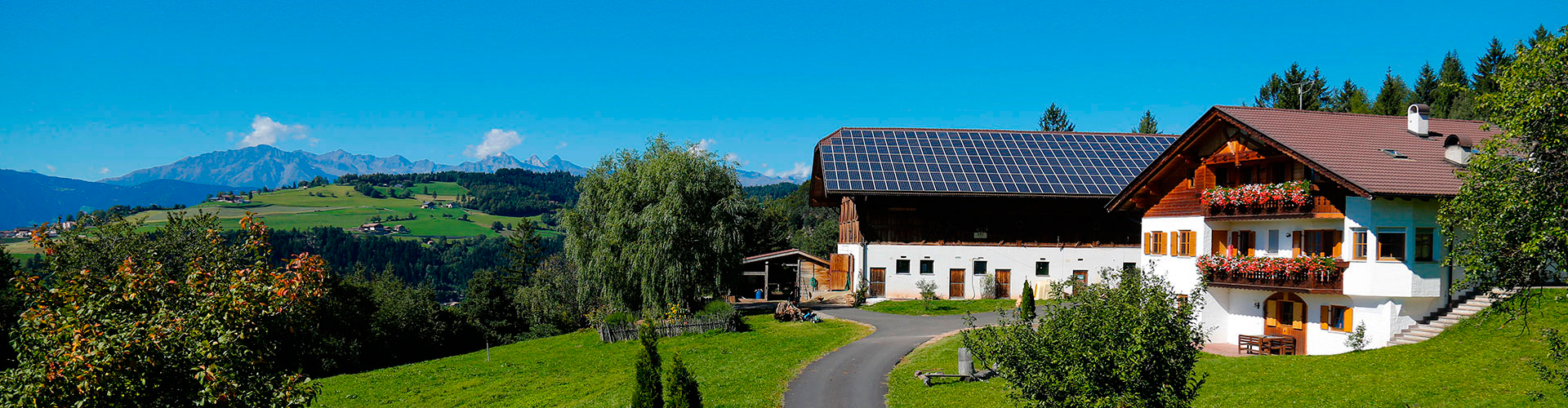 Gastreinhof farm