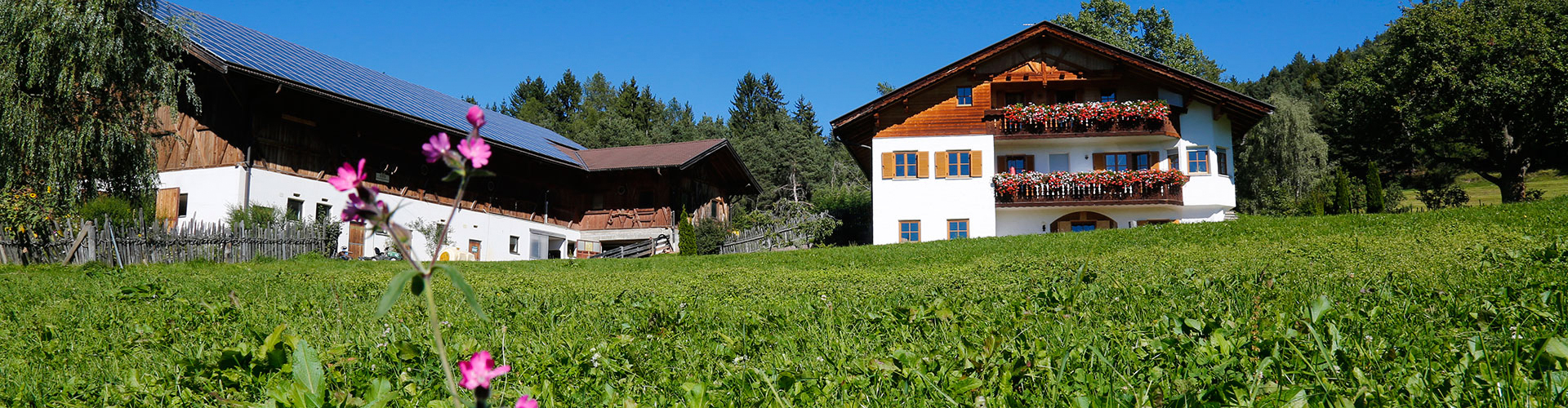 Gastreinhof farm